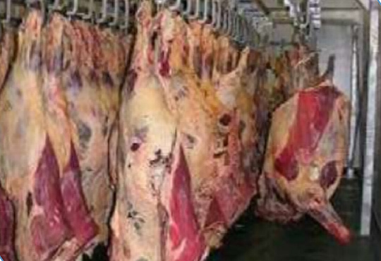 Quick-Frozen Meat Cold Storage