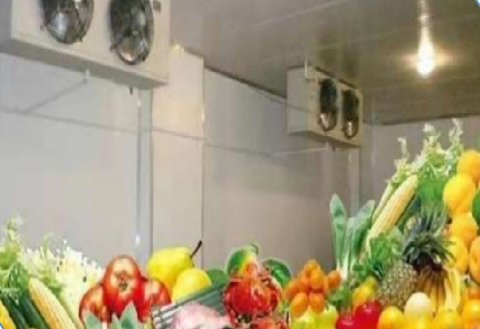 Vegetable and Fruit Freshness Cold Storage
