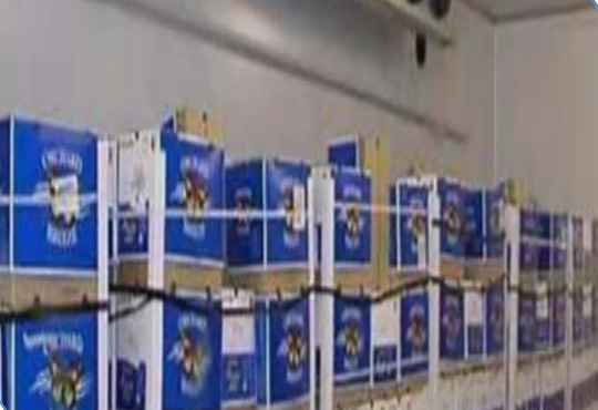 Chocolate and Dairy Cold Storage