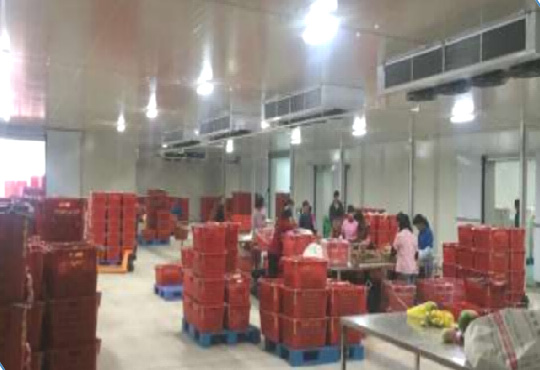 Agricultural Product Processing Cold Storage